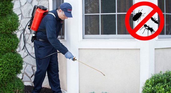Bostanlı Kemirgen İlaçlama böcek ilaçlama ve haşere kontrolü — ilaclama-tr.com